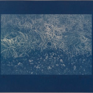 Vetrarskógur / Winter forest N°4 by Hlynur Helgason, Image 2.