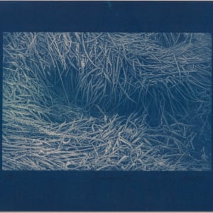 Vetrarskógur / Winter forest N°5-2 by Hlynur Helgason