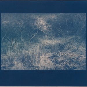 Vetrarskógur / Winter forest N°8 by Hlynur Helgason, Image 2.