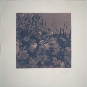 Haustgarður No.4 1/8 by Hlynur Helgason