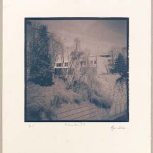 The Medicine Show I.9-2 by Hlynur Helgason