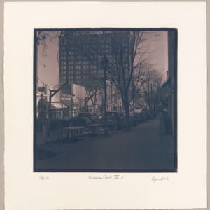 The Medicine Show VII.3-2 by Hlynur Helgason, Image 4.