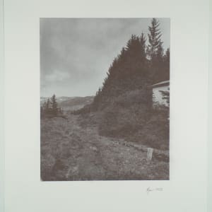 Skógar í Þorskafirði, 2021, No.3 1/8 by Hlynur Helgason