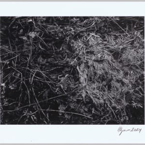 Svörður / Sod N°1 1/24 by Hlynur Helgason