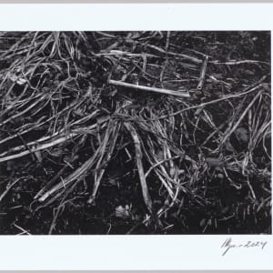 Svörður / Sod N°2 1/24 by Hlynur Helgason