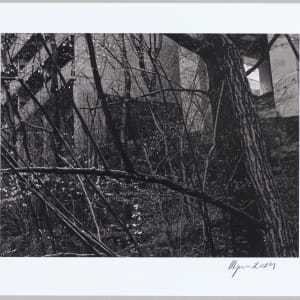 Erebus, N°4 1/10 by Hlynur Helgason