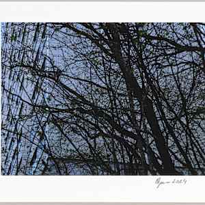 Mossen, N°18 1/24 by Hlynur Helgason