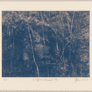 Í viðjum / Bound N°2, 2024, cyanotype photographs 1/12 by Hlynur Helgason