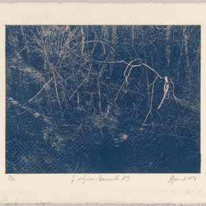 Í viðjum / Bound N°3, 2024, cyanotype photographs 1/12 by Hlynur Helgason