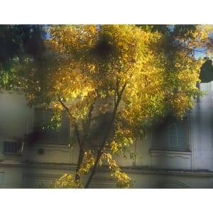 Mañanas en Juana Azurduy N°4 1/16 by Hlynur Helgason