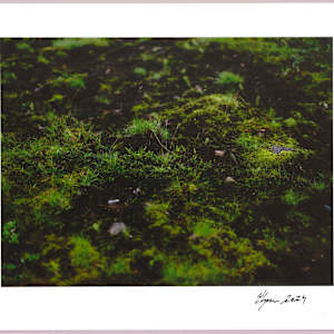 Lush heathlands — Oddskarð, Iceland N°10 1/24 by Hlynur Helgason