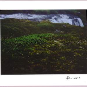Lush heathlands — Oddskarð, Iceland N°13 1/24 by Hlynur Helgason