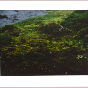 Lush heathlands — Oddskarð, Iceland N°17 1/24 by Hlynur Helgason