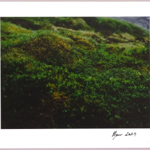 Lush heathlands — Oddskarð, Iceland N°9 1/24 by Hlynur Helgason