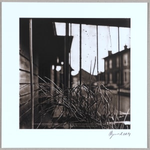 Proximité N°1 – fine art photograph 1/24 by Hlynur Helgason