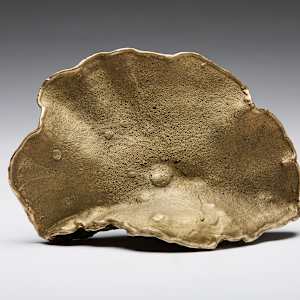 'Tree Conch' (for Wayne Lucas)' Marne Lucas by Marne A Lucas  Image: Front view: ‘Moon Man Step’ for my father Wayne Lucas. Patterned from a Pacific Northwest Tree Conch fungus.


