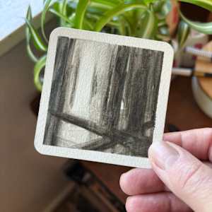 Good Bones #2 by Caryn Vainio, Image 2.