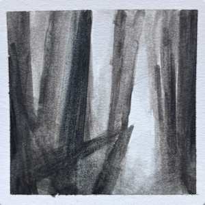 Good Bones #3 by Caryn Vainio, Image 1.