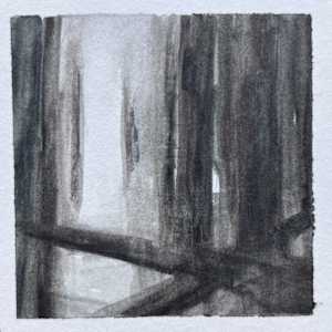 Good Bones #2 by Caryn Vainio, Image 1.