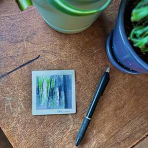 You Who Are Most Evergreen by Caryn Vainio, Image 4.