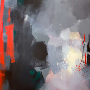 The Disobediences Yet To Come by Caryn Vainio