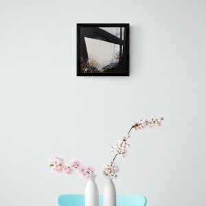 The Life Beneath by Caryn Vainio 