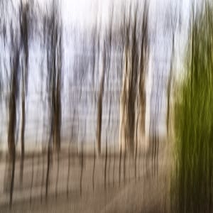 Mystic Trees III by Rolf Florschuetz