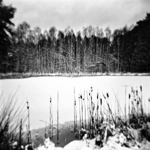 Winterday at the Pond by Rolf Florschuetz