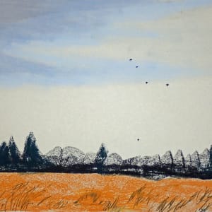 Seven Crows by Thomas Sundberg