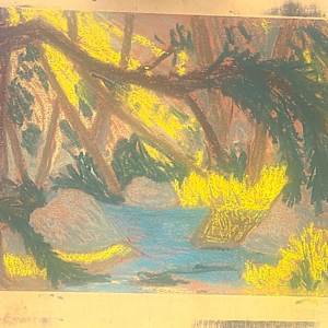 Deep Forest Pools by Thomas Sundberg, Image 5.