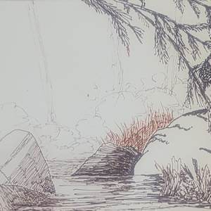 Pond Memory by Thomas Sundberg, Image 2.