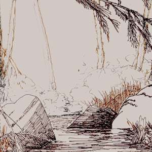 Pond Memory by Thomas Sundberg, Image 1.