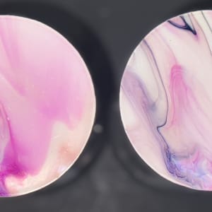 Chrysanthemum, Wine Glasses - Set of Two by Pourin’ My Heart Out - Fluid Art by Angela Lloyd 