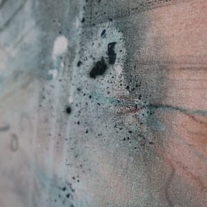 PEACOCK by Lotta Sirén 