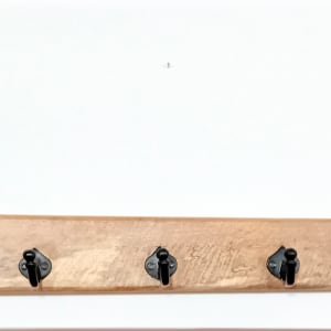 Rustic Polished Oak Coat Rack (9 Hooks) by Henry Nairn