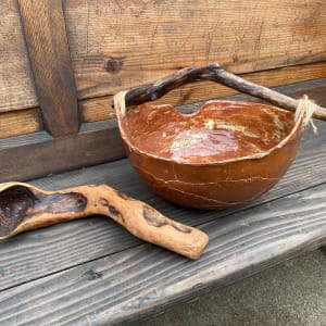 Large Bowl with Driftwood by Sharon Robins