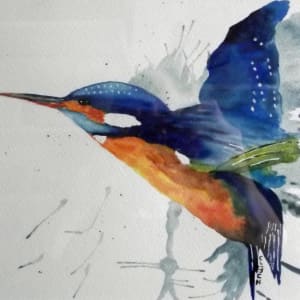 Kingfisher leaving the water by Jayne Nairn