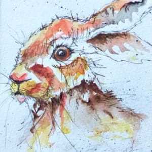 Young Hare by Jeni MacNab