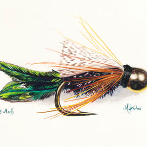 Zug Bug Mayfly - Prints Available by Monique McFarland
