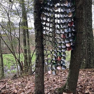 Studios Without Walls by Bette Ann Libby  Image: Around the Pond & Through the Woods: No Limits, 2019 Old Frog Pond Farm