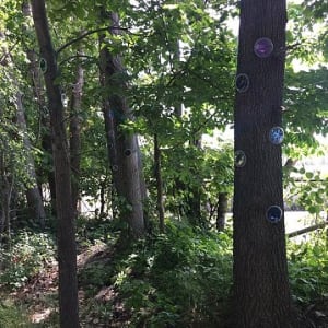 Studios Without Walls by Bette Ann Libby  Image: Reverberations: Seen Not Seen, 2019 Newton Upper Falls Greenway