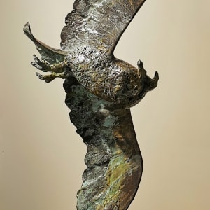 Vliegende uil by Hans Jouta