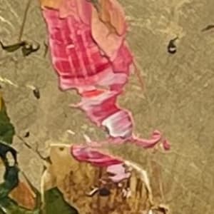 Eos by Ellen Hathaway  Image: Detail