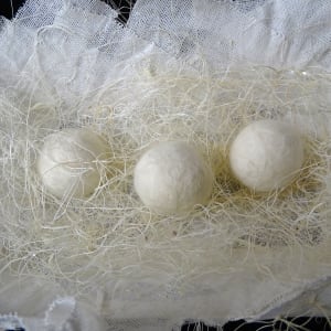 Nest by Barbetta Lockart 