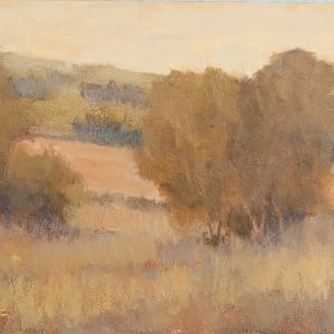 Warm Morning by Beth Cole