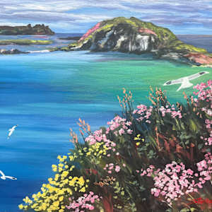 Ireland Gulls by Sharon Rusch Shaver