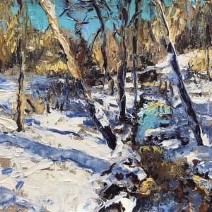 Brilliant Winter by Sharon Rusch Shaver