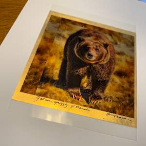 Golden Grizzly of Denali by Sandy Brown Jensen, Image 1.