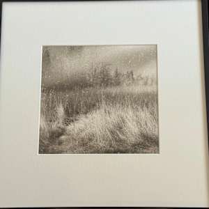 Dust Devil, Grass, Stars by Sandy Brown Jensen, Image 1.