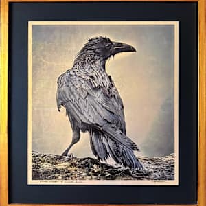 Raven Master of Heceta Head: Bringer of Light  (Gilded 23" x 21.5" by Sandy Brown Jensen